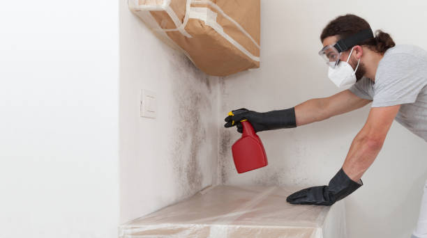 Professional Crawl Space Mold Removal technician working in Hawthorne, NY