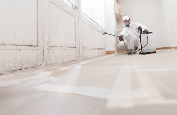 24/7 Emergency Crawl Space Mold Removal experts in Hawthorne, NY