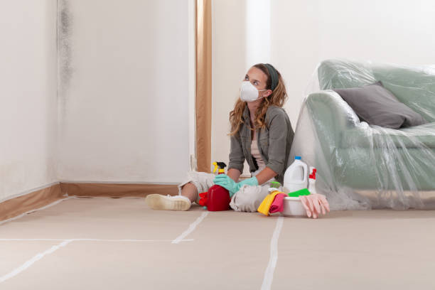 Reliable Crawl Space Mold Removal contractor in Hawthorne, NY by WQB Mold Removal